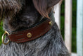 Bild in Galerie-Betrachter laden, Halsband Leder mit Patronenhülsen Nieten Jagdhundhalsband
