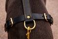 Bild in Galerie-Betrachter laden, Hundegeschirr aus Leder