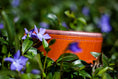 Bild in Galerie-Betrachter laden, Halsband rosa metallic cognac