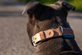 Bild in Galerie-Betrachter laden, Halsband aus Leder mit Muster Natur Hellblau