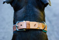 Bild in Galerie-Betrachter laden, Hundehalsband Halsband aus Leder mit geprägtem Muster in vielen Farben