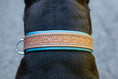 Bild in Galerie-Betrachter laden, Halsband aus Leder Fleur de Lis Muster Hundehalsband
