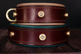 Bild in Galerie-Betrachter laden, Halsband Lederhalsband für Jäger Jagdhunde Jagd