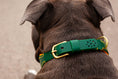 Bild in Galerie-Betrachter laden, Hundehalsband aus Leder mit Lochmuster