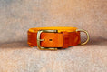 Bild in Galerie-Betrachter laden, Hundehalsband Leder Cognac Gold Gelb