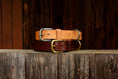 Bild in Galerie-Betrachter laden, Lederhalsband Halsband Hundehalsband