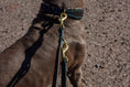 Bild in Galerie-Betrachter laden, verstellbare Hundeleine Doppelführer aus Leder