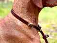 Bild in Galerie-Betrachter laden, Retrieverleine für Hunde Leine Halsband Leder