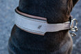 Bild in Galerie-Betrachter laden, Zugstopp Halsband Leder grau Taupe