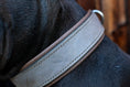 Bild in Galerie-Betrachter laden, Zugstopphalsband Zugstopp Halsband Leder Hund Grau Silber Taupe