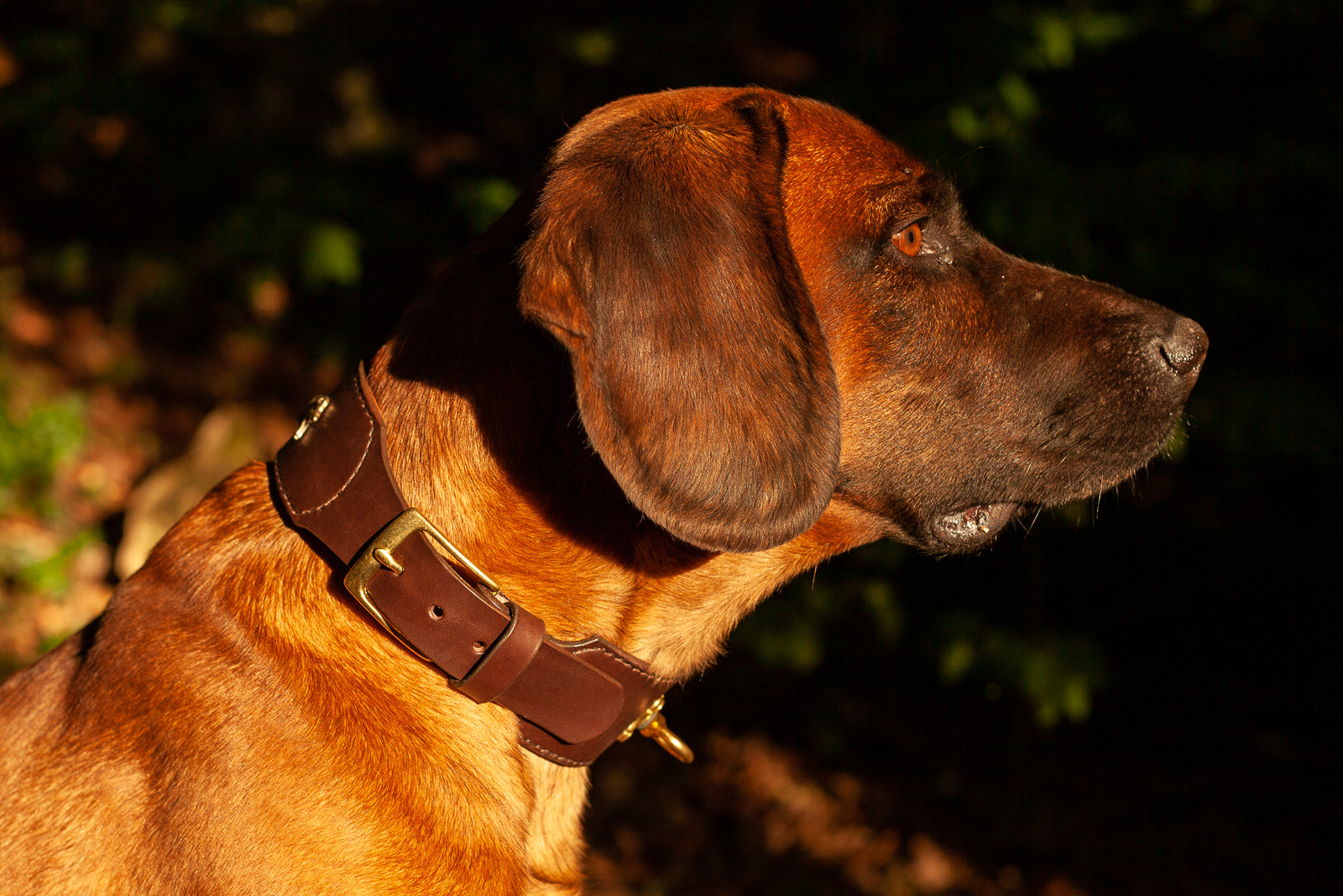 Jagdzubehör