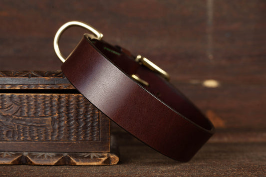 stabiles Halsband aus Leder für Hunde