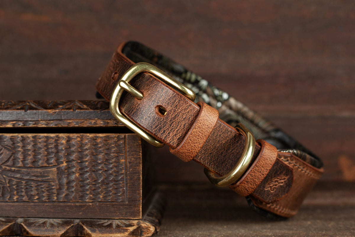 Halsband Leder gefüttert