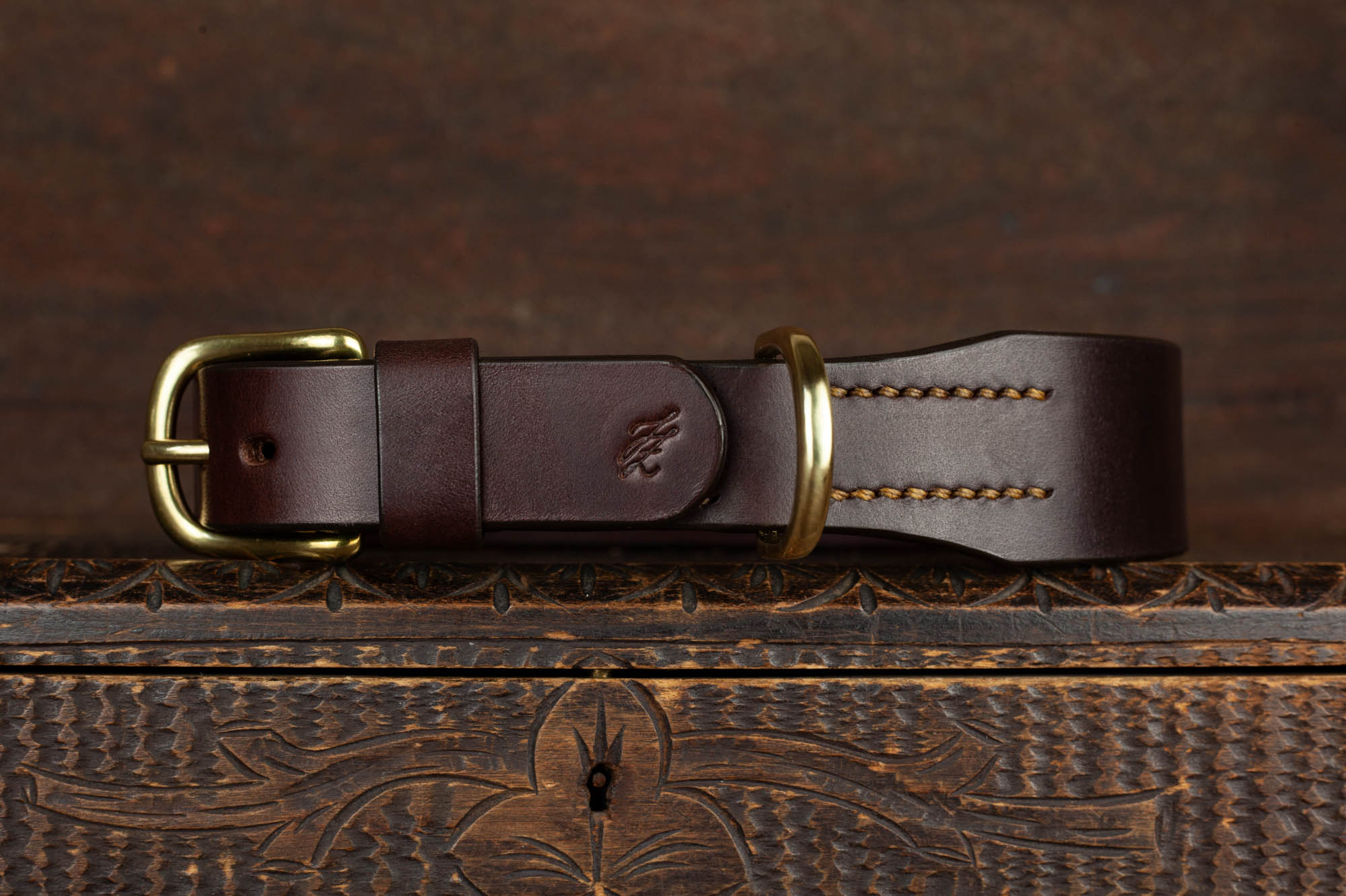 Halsband Hund Leder