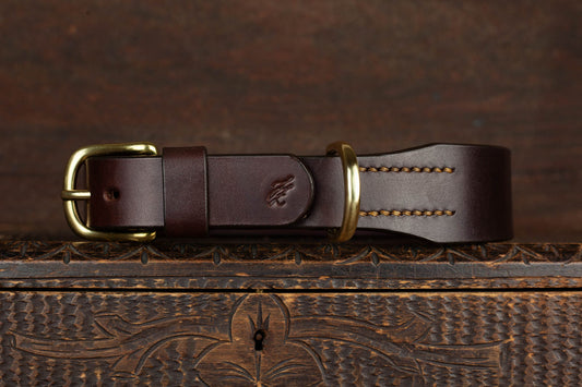 Halsband Hund Leder