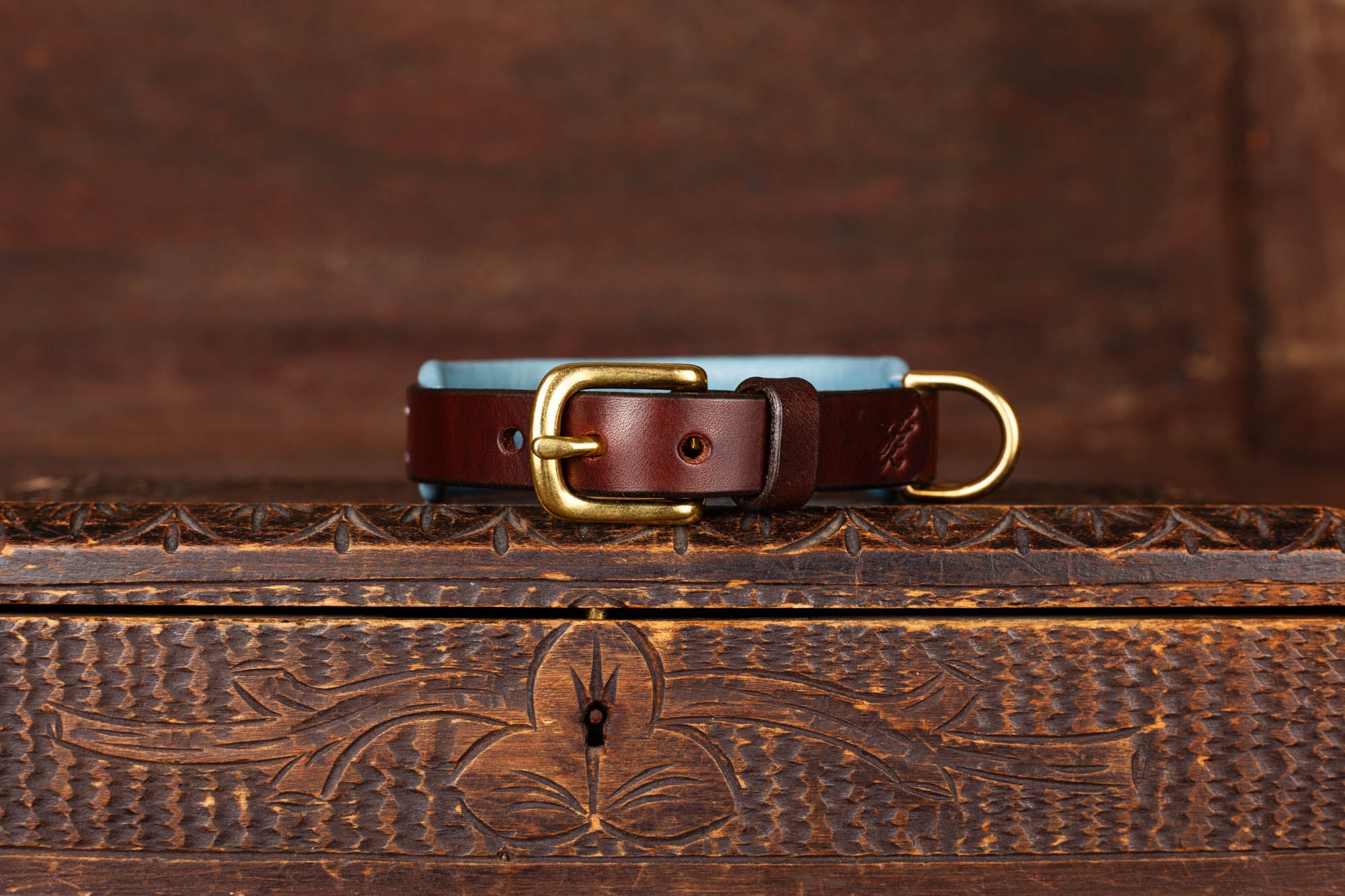 Halsband Leder maßgefertigt handgenäht Dunkelbraun Hellblau