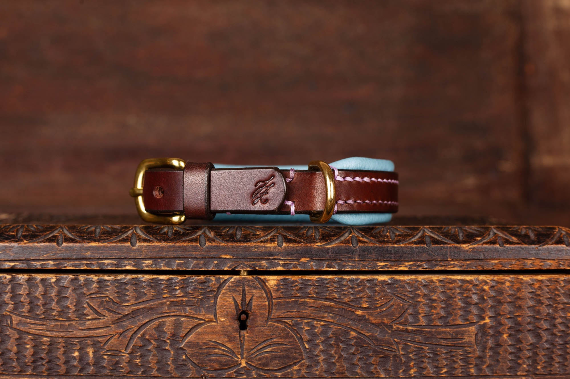 Halsband Lederhalsband Hundehalsband 