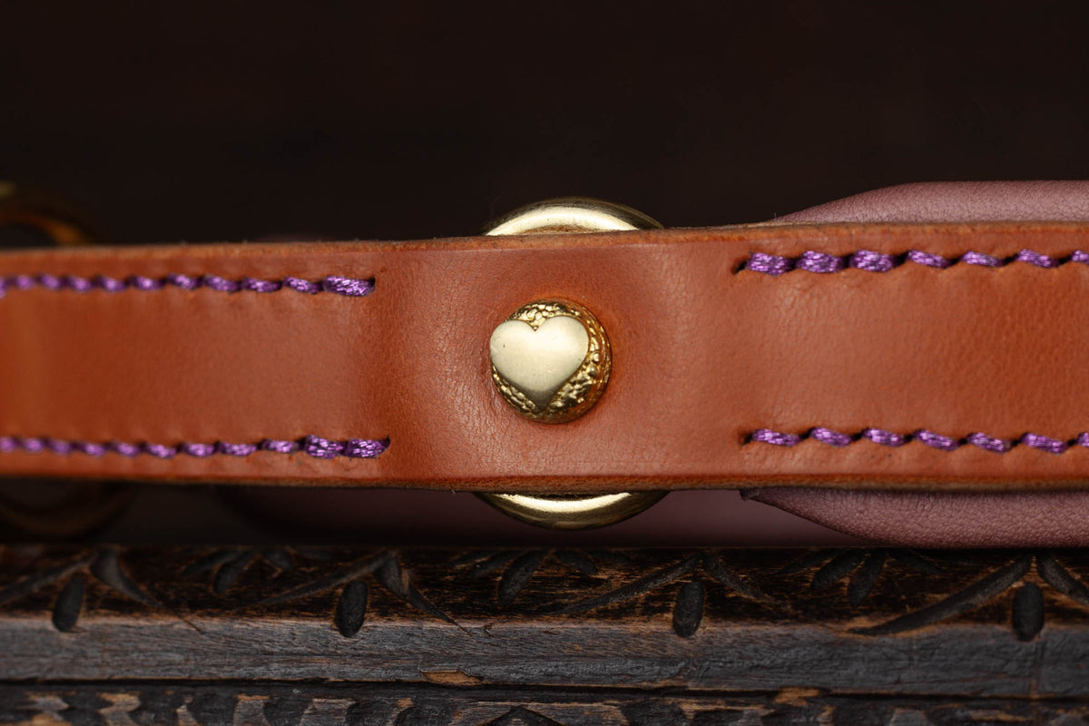 Zugstopphalsband 'HEARTS & PAWS'