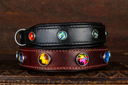 Hundehalsband Leder mit Motiv Druckknöpfen CHunks bunt