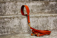 Bild in Galerie-Betrachter laden, Zugstopphalsband Hundehalsband aus Leder Cognac
