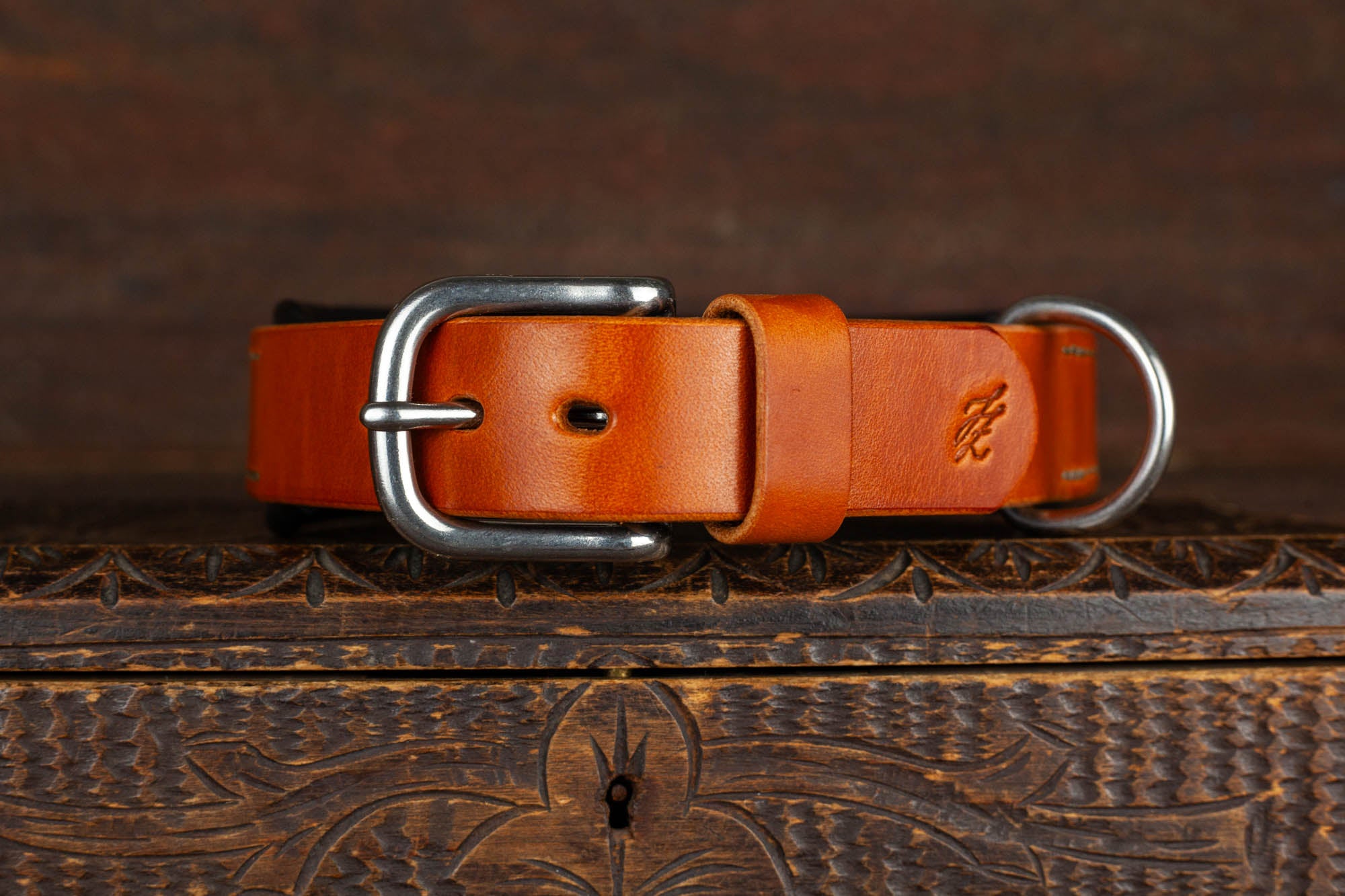 Halsband Lederhalsband Hundehalsband Leder 
