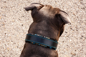 Luxus Hundehalsband aus Leder