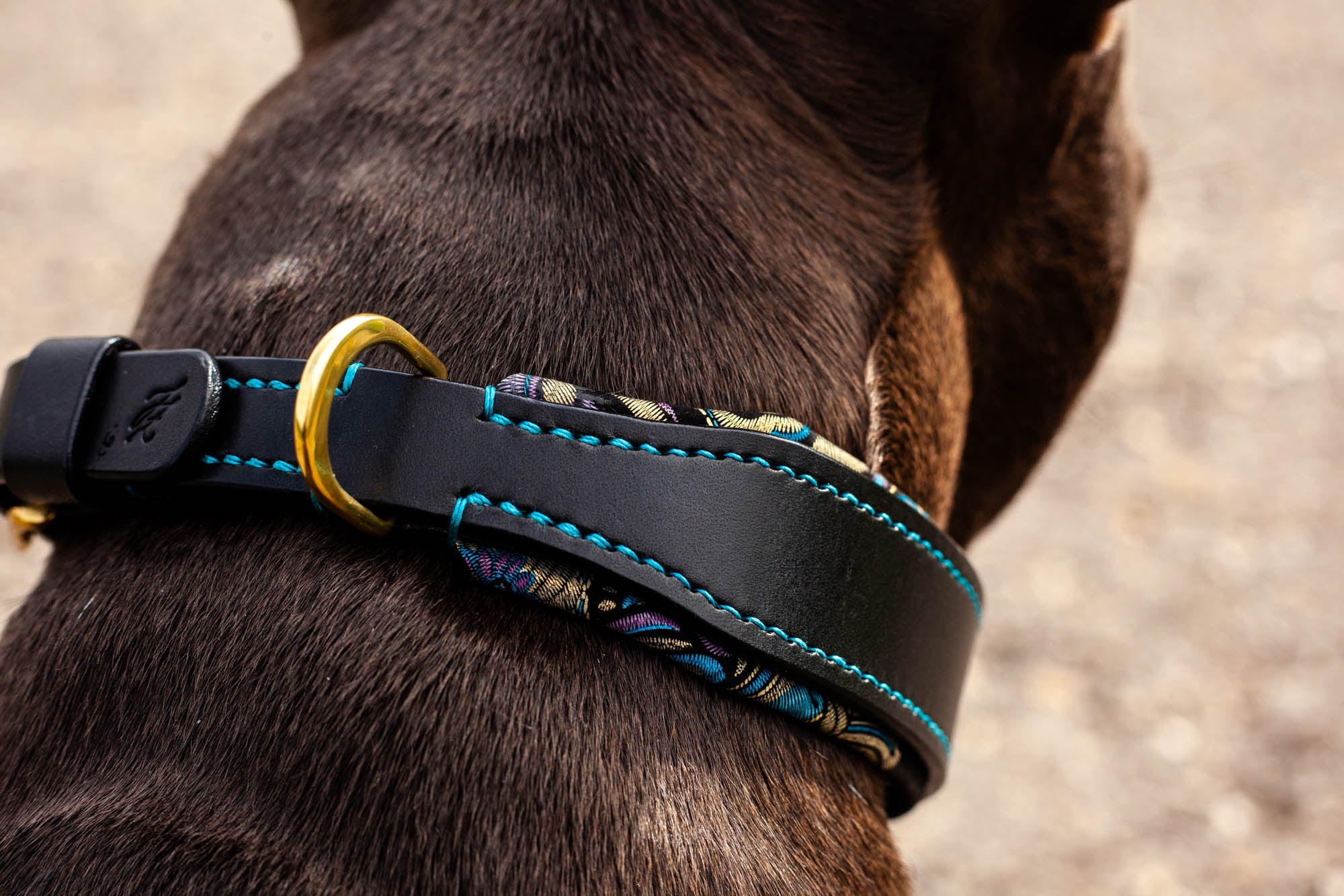 exklusives Hundehalsband Halsband für Hunde aus Leder