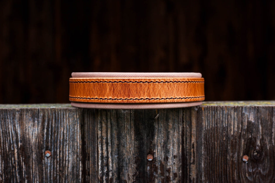 Hundehalsband aus Leder