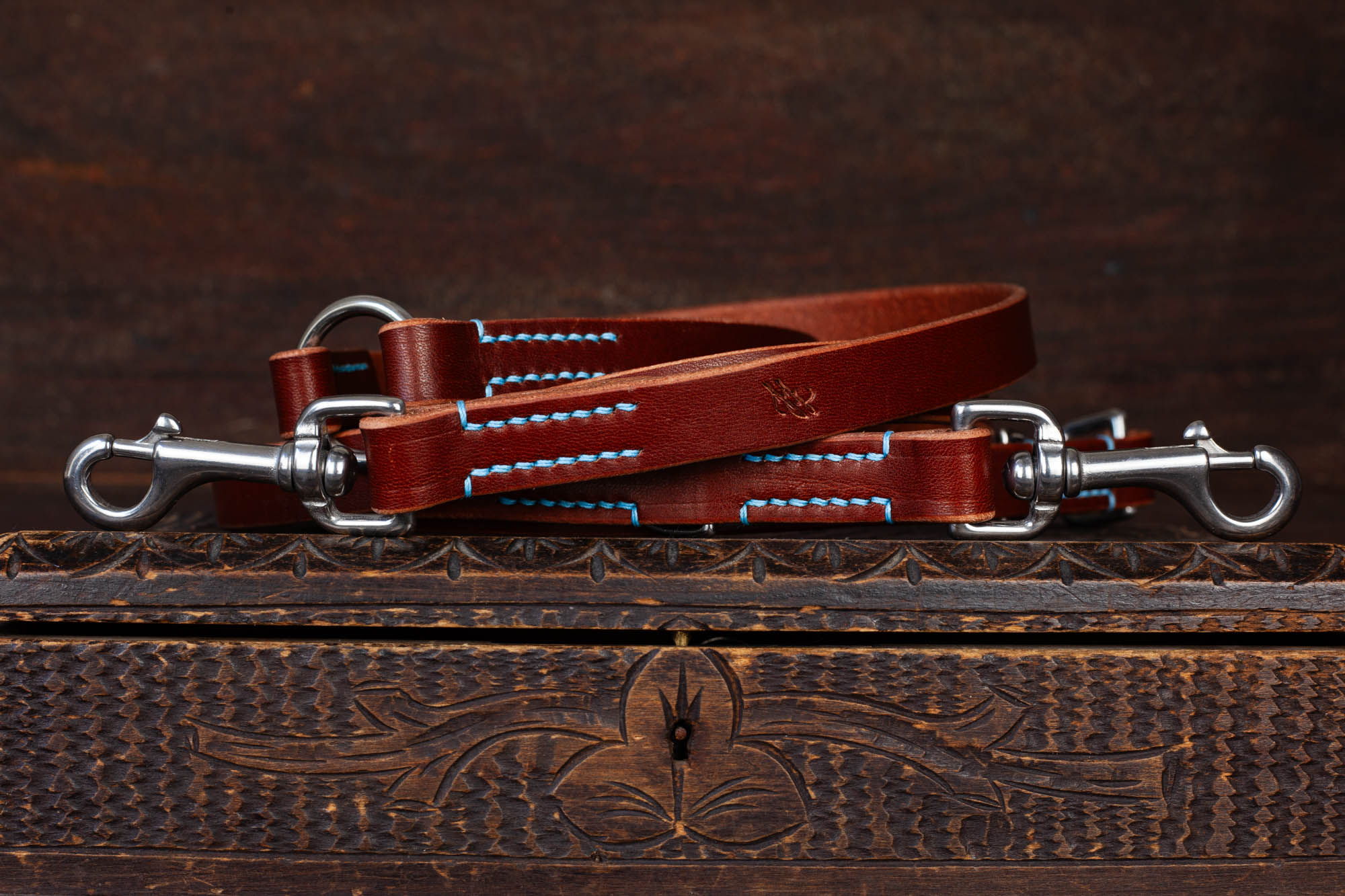 Multifunktionelle Hundeleine aus Leder Lederleine Leine verstellbar Bolzenkarabiner