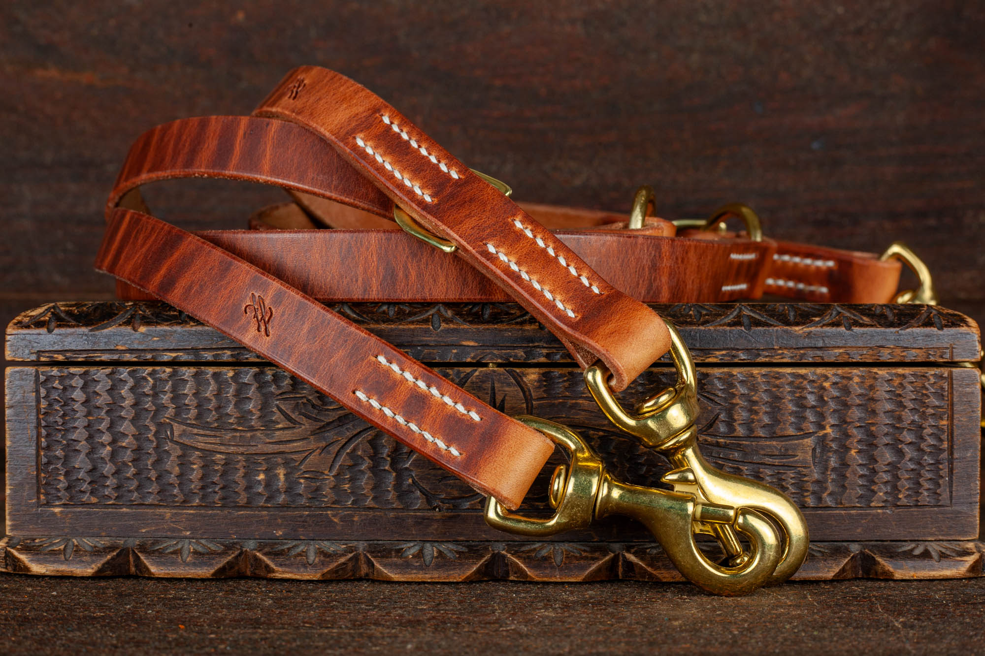 Hundeleine aus Leder stabil 