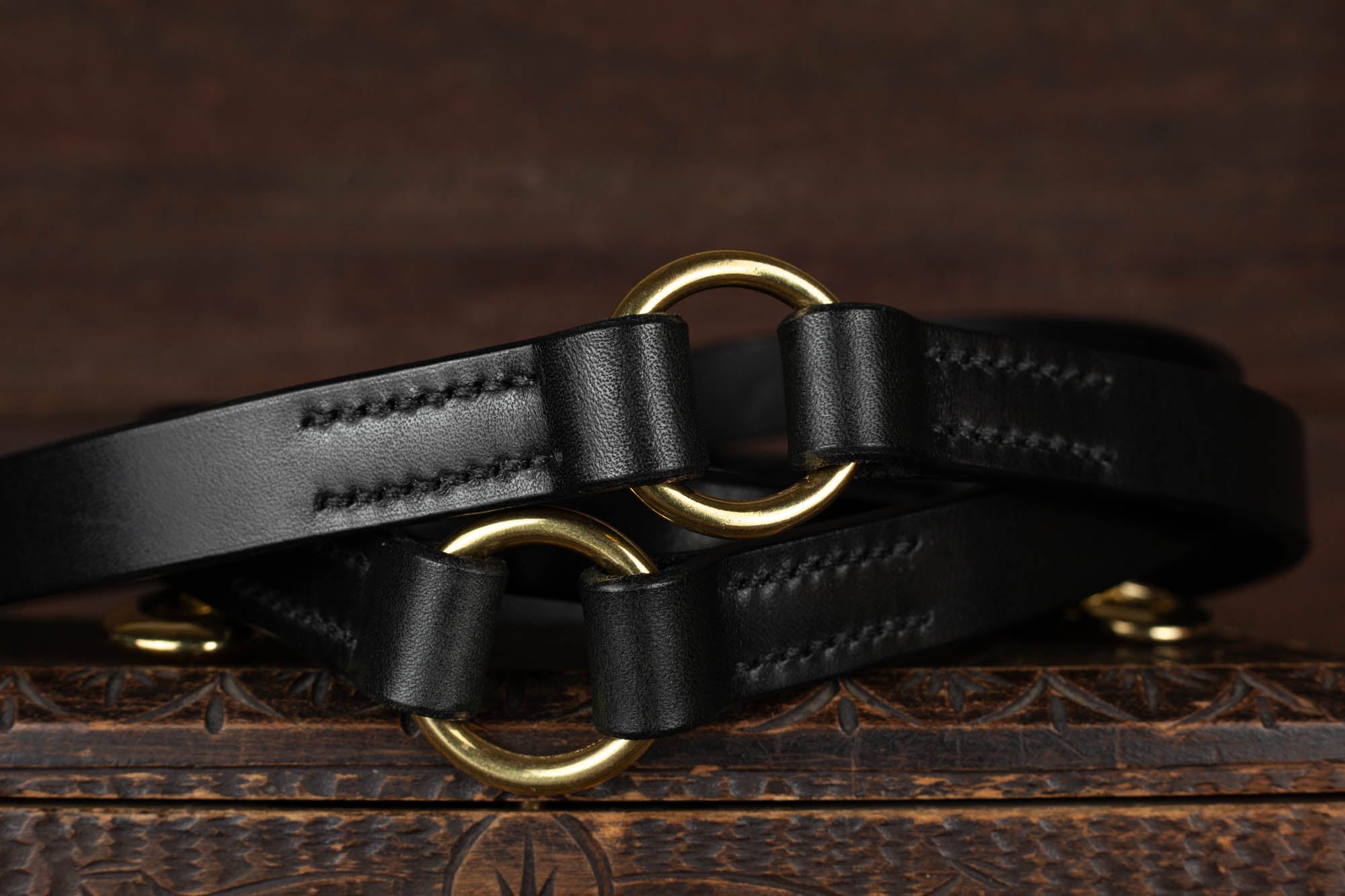 Leine Leder schwarz gold 