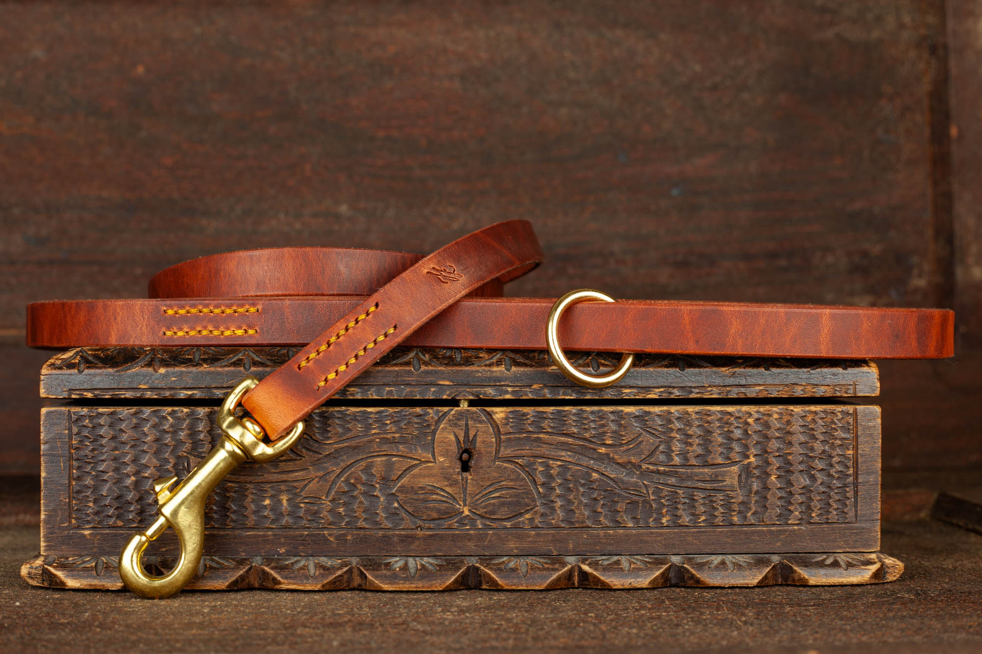 Leine Messingkarabiner Leder Hundeleine