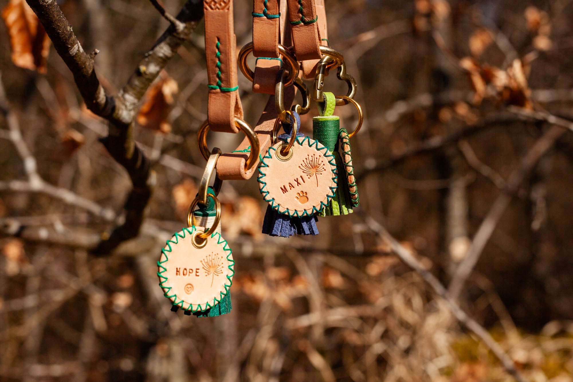 Hundemarke Hundemarken aus Leder lautlos leise Ledermarke Hund dogtag mit Lederquaste bunt
