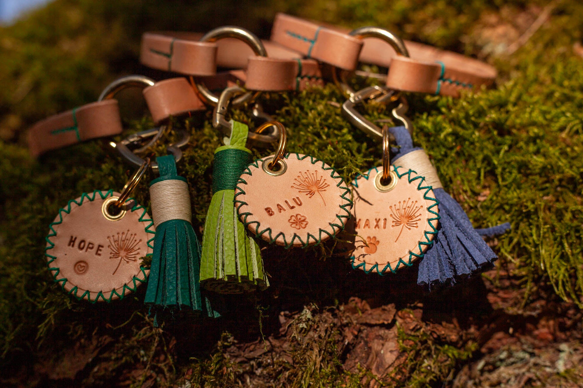 Hundemarken Ledermarken Hundemarke aus Leder