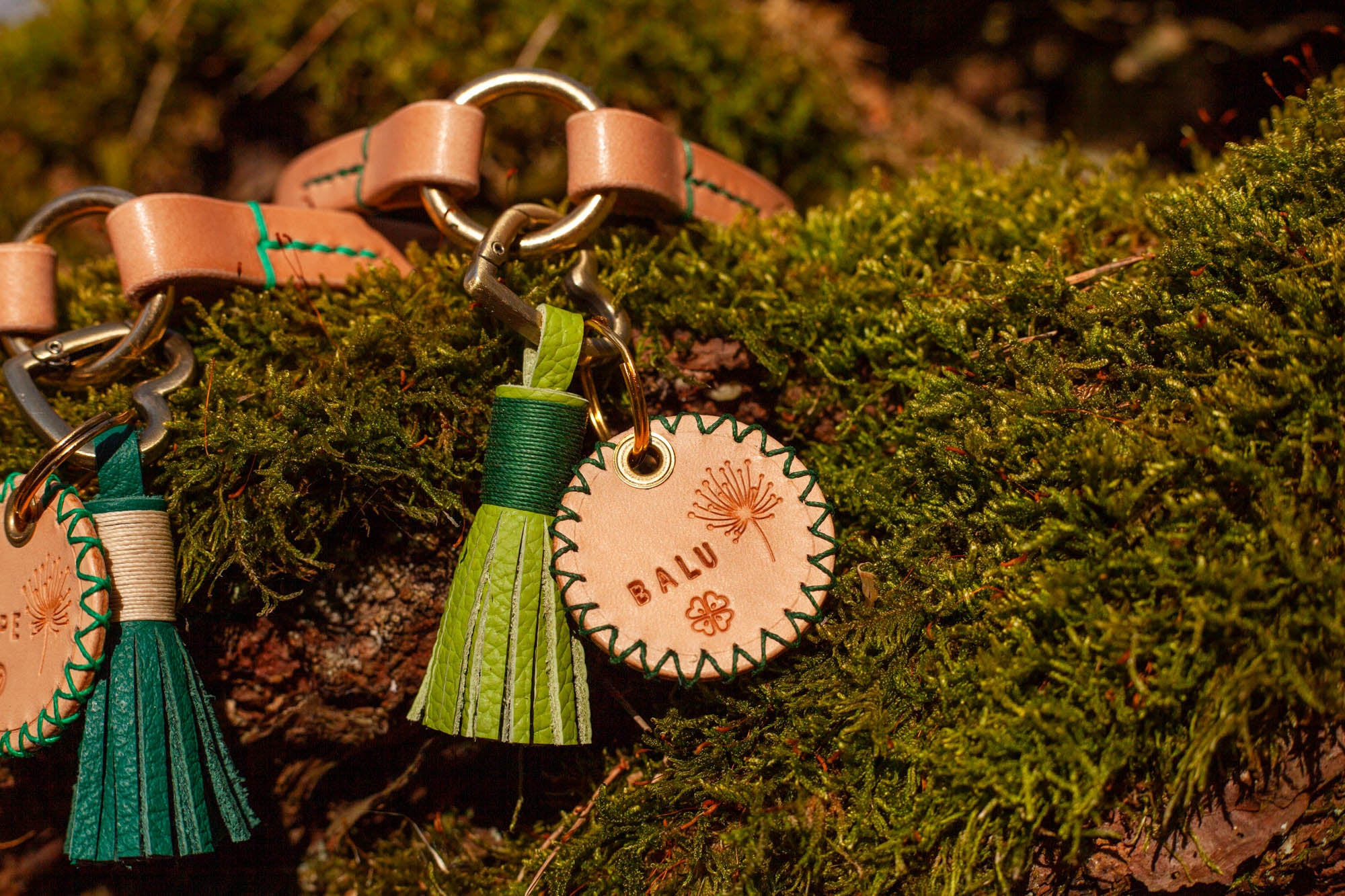 Hundemarke Hundemarken aus Leder lautlos leise Ledermarke Hund dogtag Grün