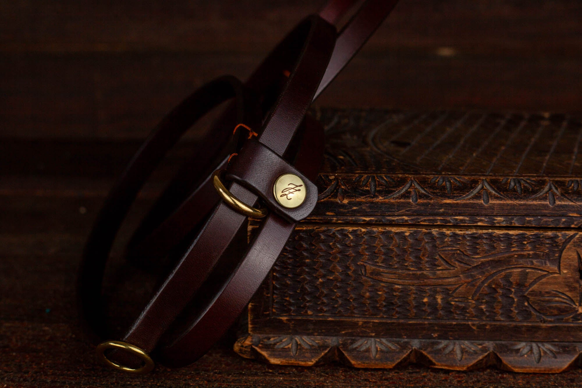 Retrieverleine Leder Dunkelbraun Messing Moxonleine Hundeleine Lederleine