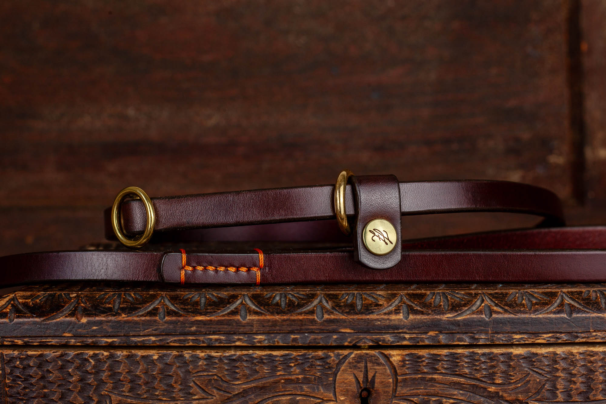 Lederleine Hundeleine Retrieverleine