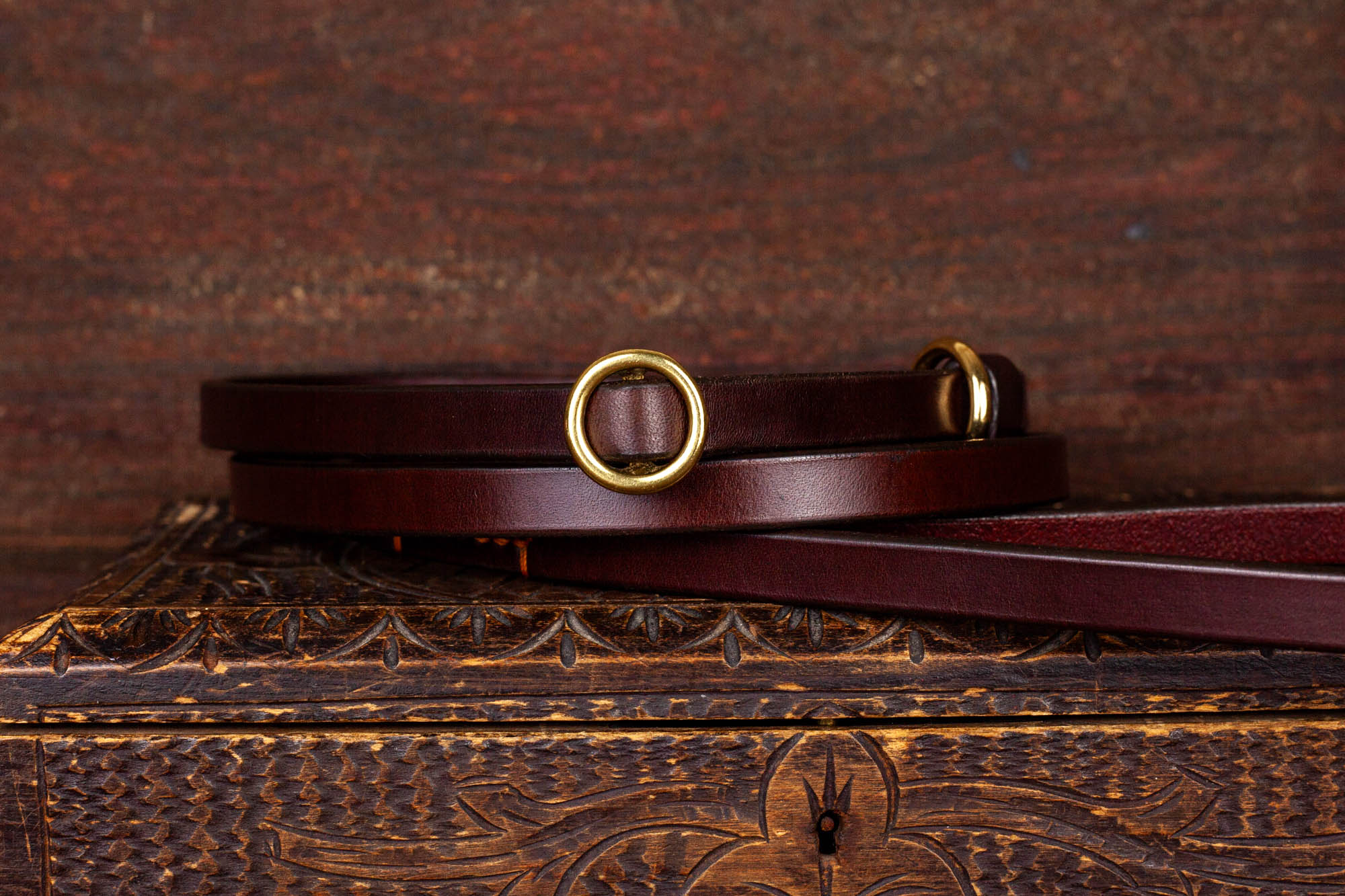 Retrieverleine Dunkelbraun Messing Leder