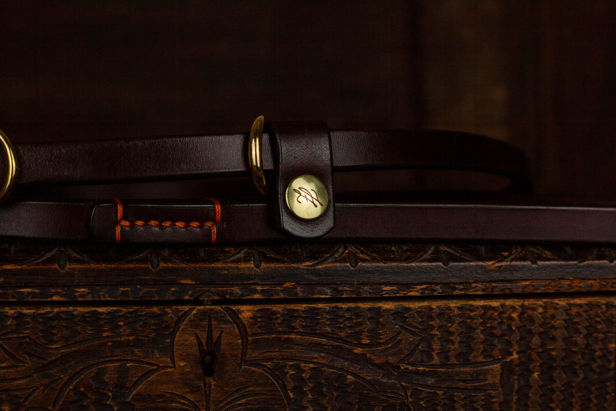 Retrieverleine Moxonleine Hundeleine aus Leder