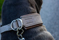 Bild in Galerie-Betrachter laden, Halsband mit Zugstopp zughalsband Leder
