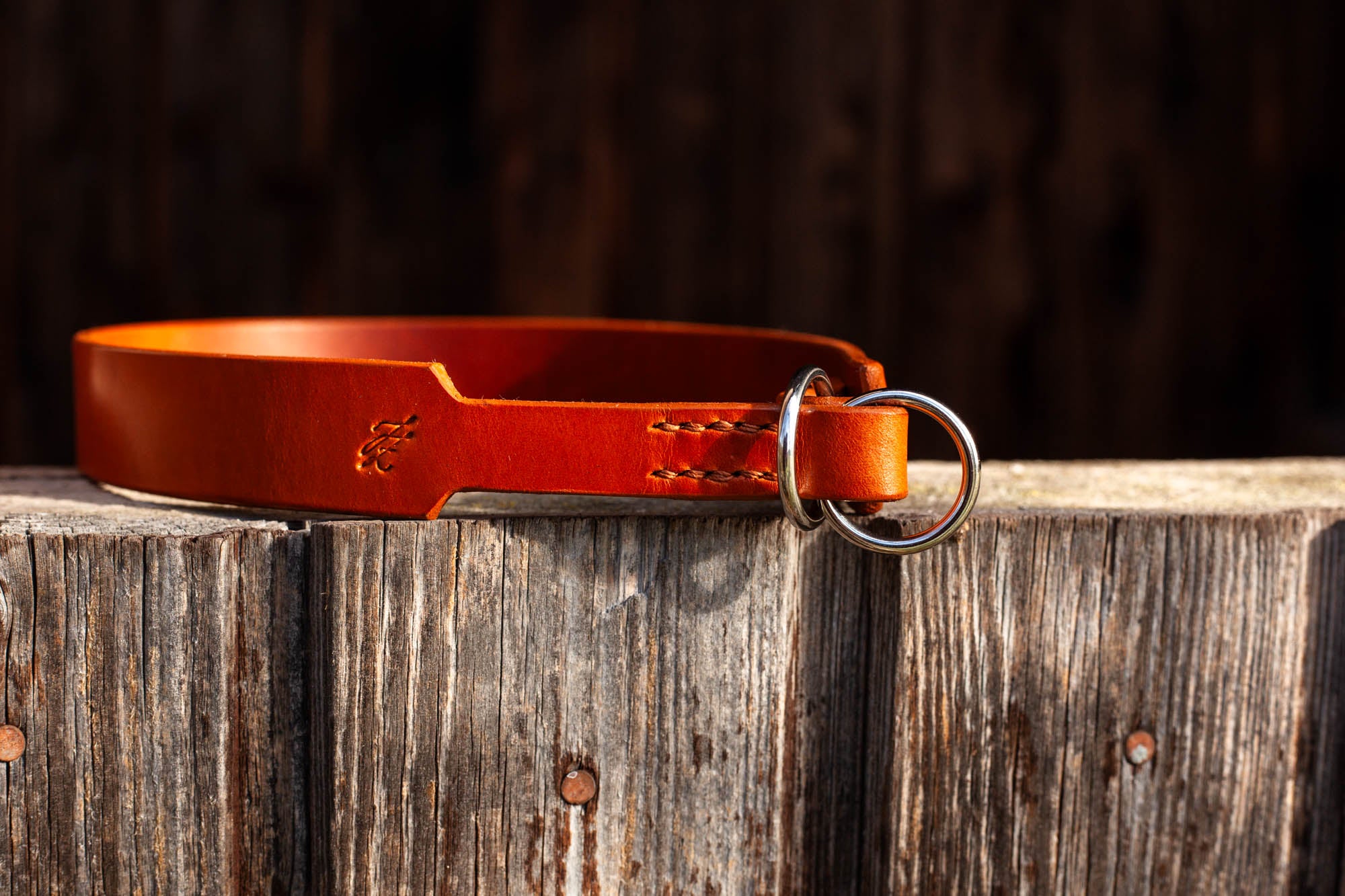 Handgenähtes Zugstopp Halsband Maßanfertigung Hundehalsband