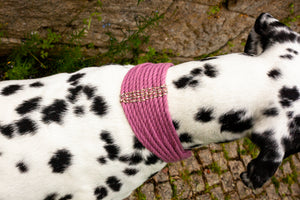 weiches breites Halsband für Hunde Baumwolle und Leder