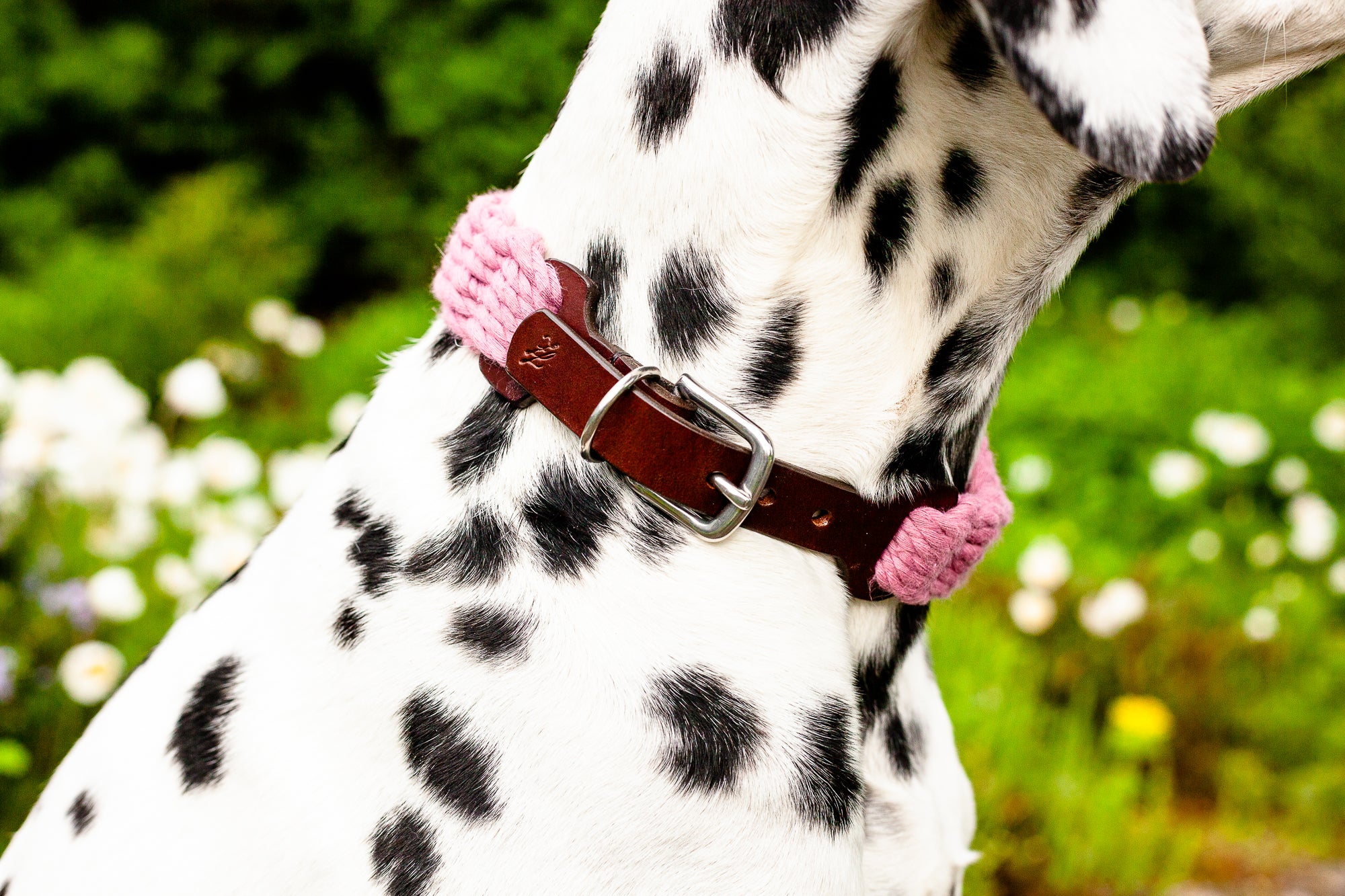 Schnurenhalsband lila rosa blaues gelbes buntes Halsband für Hunde