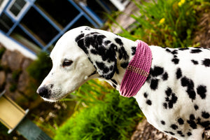 Hundehalsband handgefertigt aus bunter Baumwolle
