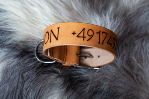 Halsband mit Namen und Telefonnummer für Jagdhunde. Jagdhund Zubehör aus Leder