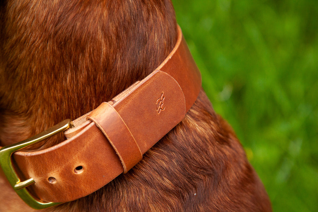 Hundehalsband Leder • Luxus für Hunde • exklusive Hundehalsbänder und  Leinen