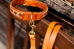 Hundehalsband Halsband Hund Lederhalsband Rigoletto mit Punzierung und Rollschnalle in cognac oder morofarbenem Leder