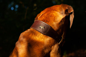 Schweißhalsung bayrischer Gebirgsschweißhund, Teckel, Wildschwein Halsung aus Leder für die Nachsuche Handgenähte Schweisshalsung