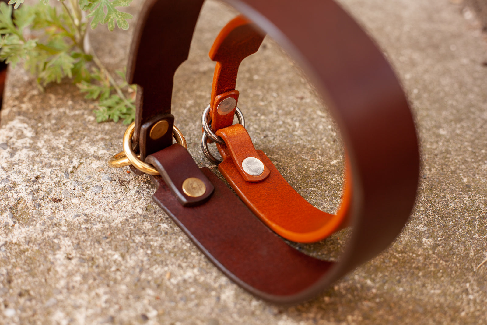 Zugstopp-Halsband Zugstopphalsband für Hunde aus Leder auf Maß gefertigt Handarbeit 