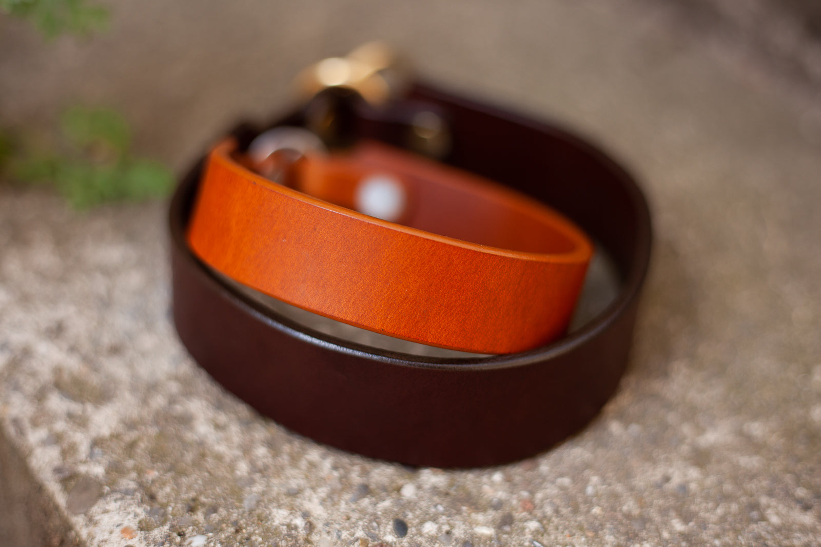 Zugstopp Halsband Retriever Halsband aus Leder handgefertigt nach Maß JZ Ledermanufaktur